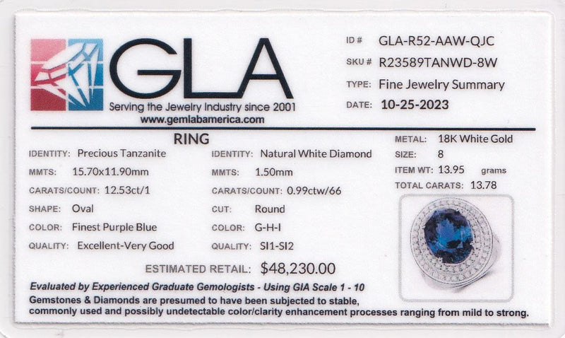 Maximalist Tanzanite and Double Diamond Halo Ring
